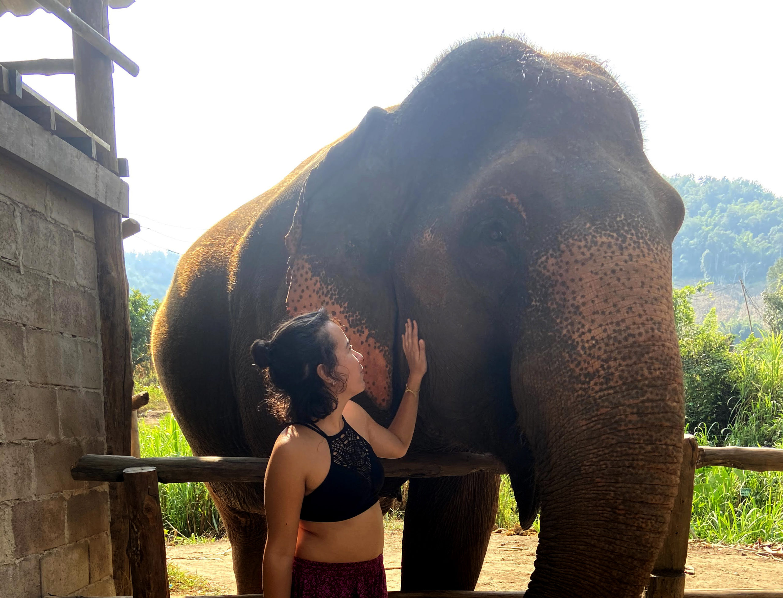 Visit an Elephant Camp